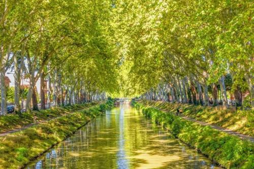 Apartamento Quartier Ragueil, Studio Cosy Tout Confort!