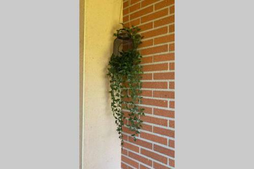 Apartamento Le Jardin Des Muses