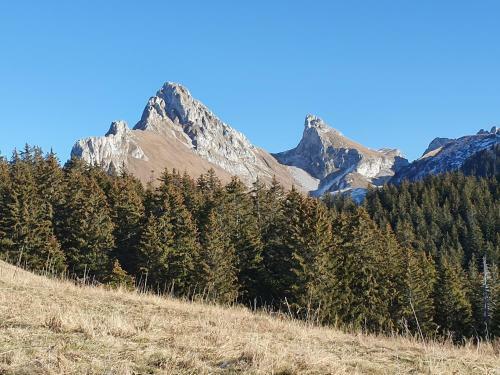 Apartamento Chalet Tante Emma