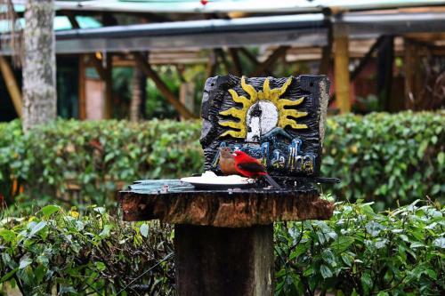 Hostal Pousada Astral Da Ilha