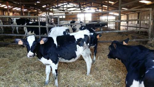 Agroturismo Charmante Maison � La Ferme