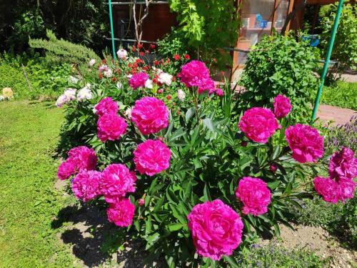 Apartamento Entre Bourges Et Sancerre, Vacances Relaxantes