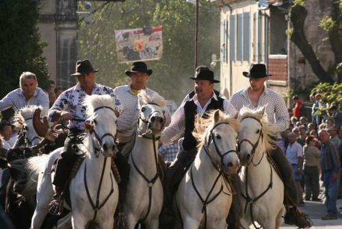 G�te De Vacances En Camargue ??nn