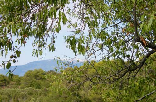 Bed & Breakfast Mas De La Gonnette