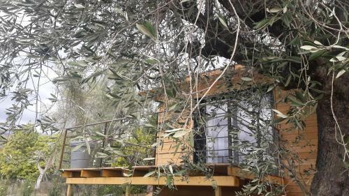 La Moma