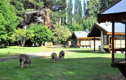 Lodge Caba�as Y Hosteria Aldea Los Huemules