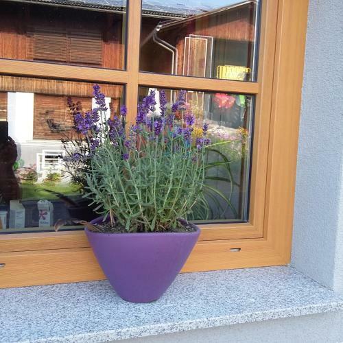 Agroturismo Urlaub Am Heubauernhof K�ck