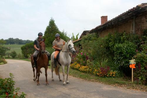 Ferme De Montalibord
