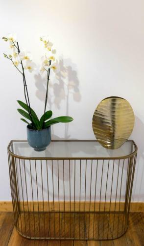 Apartamento Chez Helder, La Suite ! - Vichy Top Destination