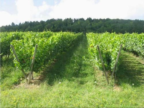 Domaine Les Hauts Pr�s