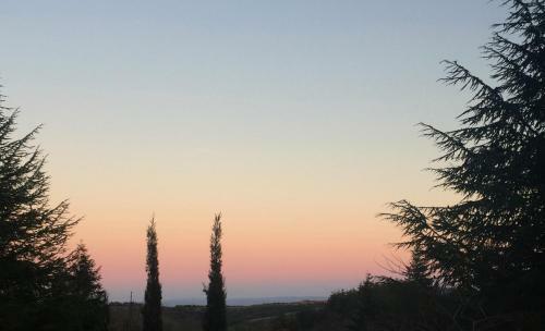 Domaine De La Vitarelle Glamping