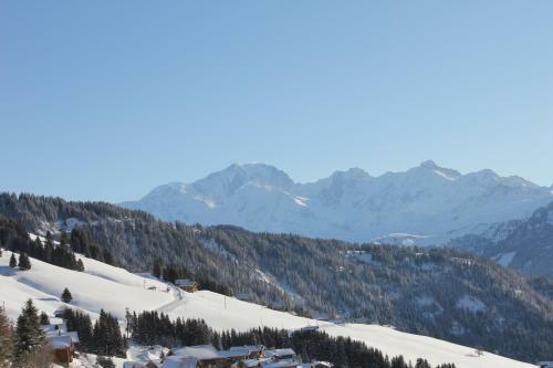 Apartamento La Perle Des Alpes C2
