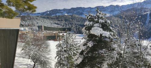 Apartamento Studio Sur Les Piste