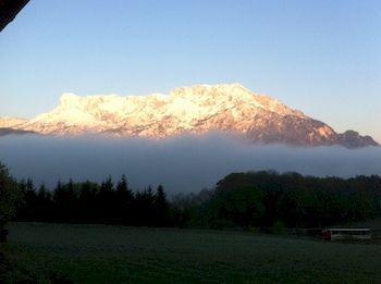 Hostal Gasthof Pension David