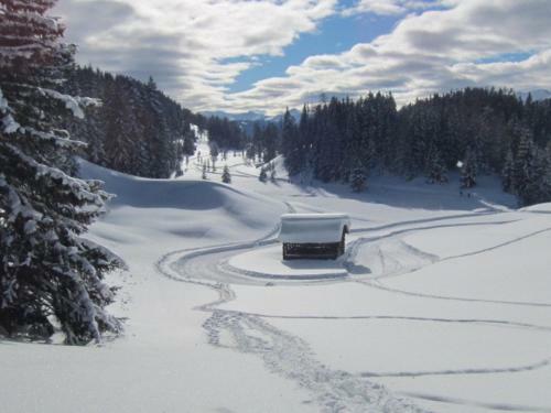Hostal Wirtshaus Zum Wiesejaggl