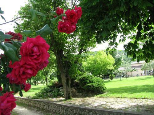 Bed & Breakfast Chambres D'h�te De Laudun