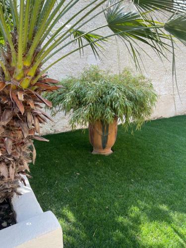 Bed & Breakfast Un Petit Coin de Paradis Avec Piscine Et Parking