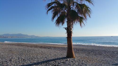 Apartamento R�sidence Cap Azur Appartement 209