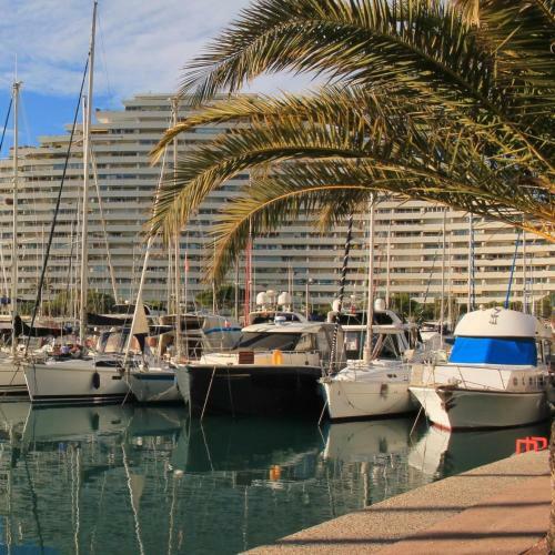 Apartamento Superbe Appartement Front De Mer