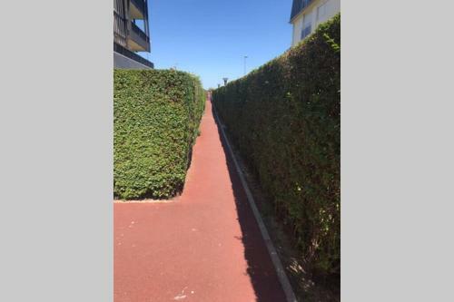 Apartamento Tr�s Bel Appartement Avec Vue Mer