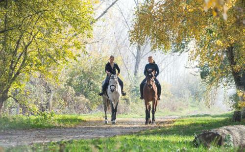 Bed & Breakfast Le Clos Des �cureuils