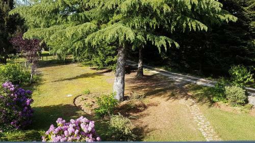 Bed & Breakfast Le Clos Des �cureuils