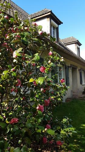 Bed & Breakfast Le Clos Des �cureuils