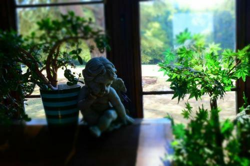 Hotel Chateau De Jallanges - Les Collectionneurs