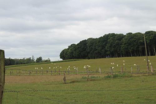 Hostal Ferme Des Champs