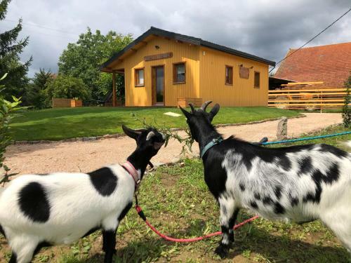 Chalet Au Natur'heil Nature-spa-gourmandise