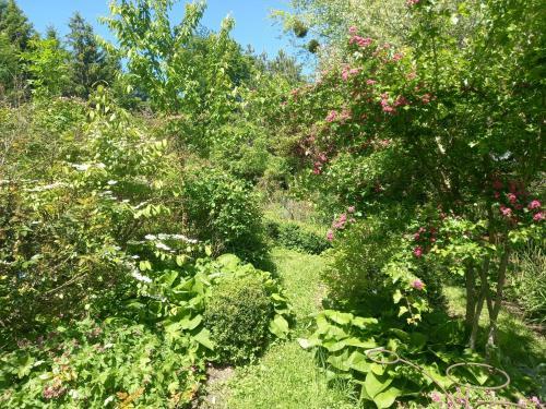 Bed & Breakfast La Haie � Cerf