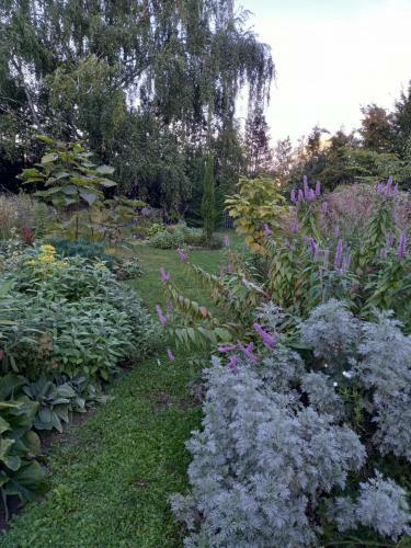Bed & Breakfast La Haie � Cerf