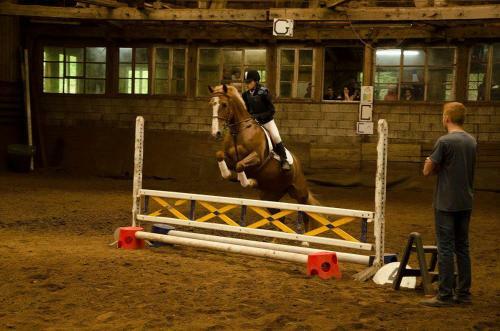 Apartamento Gite Des Tilleuls