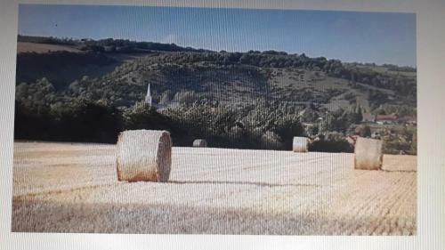 Agroturismo Studio Du Gite