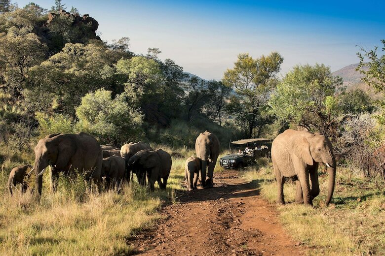 Hotel Kwa Maritane Bush Lodge