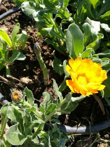 Agroturismo Agriturismo Cornieto