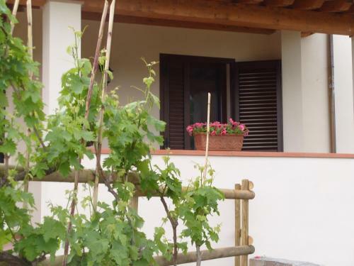 Agroturismo Agriturismo I Casamenti