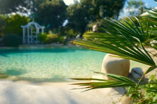 Hostal Villa Vanille