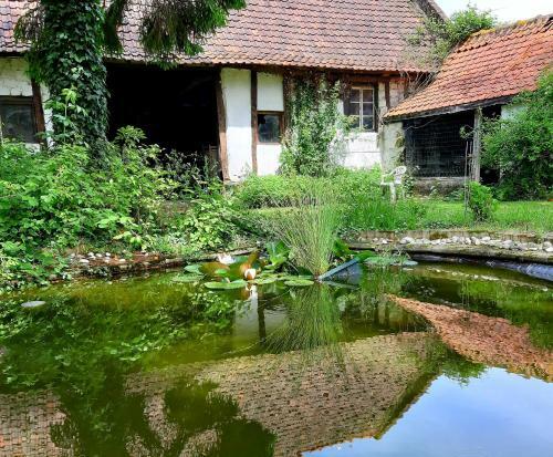 Agroturismo Le Domaine Des Anges