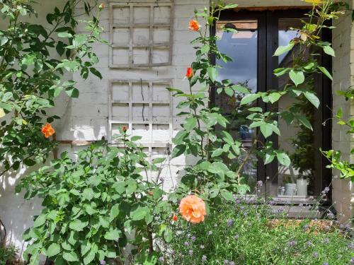 Agroturismo Le Domaine Des Anges