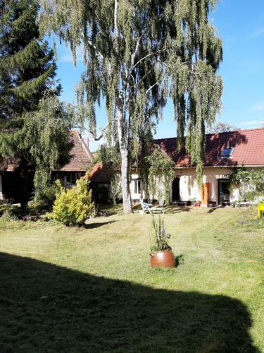Agroturismo Le Domaine Des Anges