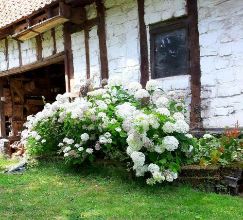Agroturismo Le Domaine Des Anges