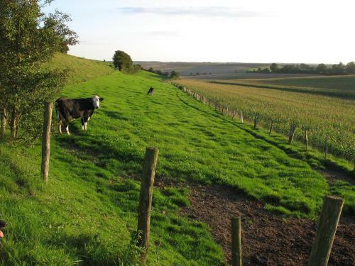 Gite Rural Entre Terre Et Mer
