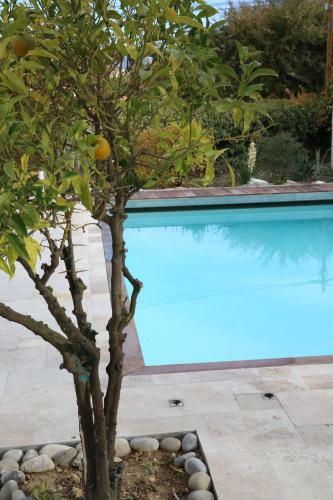 Villa Roquefort Les Pins