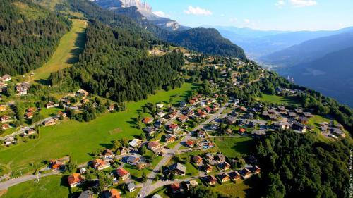 Apartamento 2 Pi�ces 6 Pers Centre Station (gv211)
