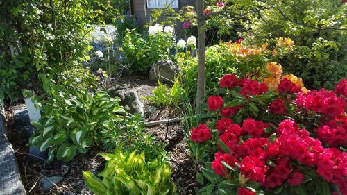 Bed & Breakfast Marie Therese B & B
