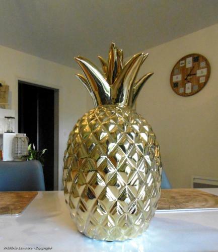 Apartamentos Cap Houses Le Traezhenn