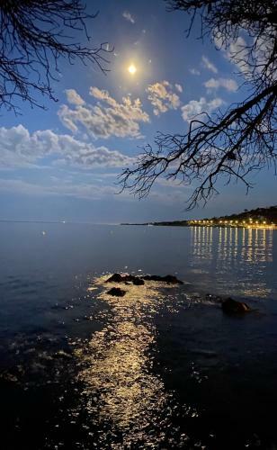 Apartamento Appartement Les Grands Pins