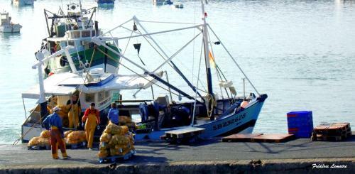 Apartamento Cap Houses Fleur De Mer