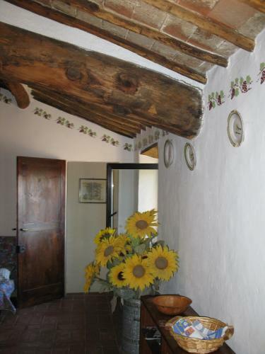 Agroturismo Agriturismo Miscianello